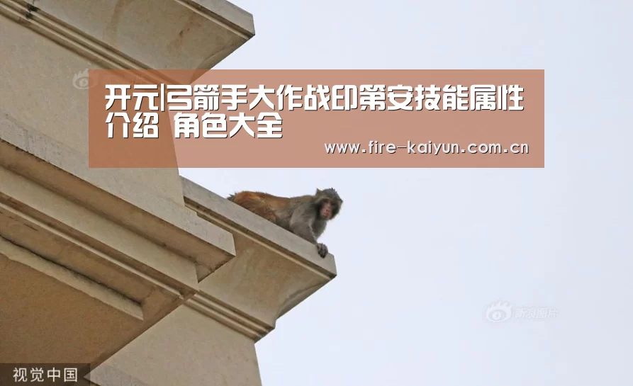 开元|弓箭手大作战印第安技能属性介绍 角色大全(图3) 开元棋牌官网